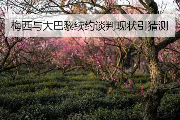 梅西与大巴黎续约谈判现状引猜测